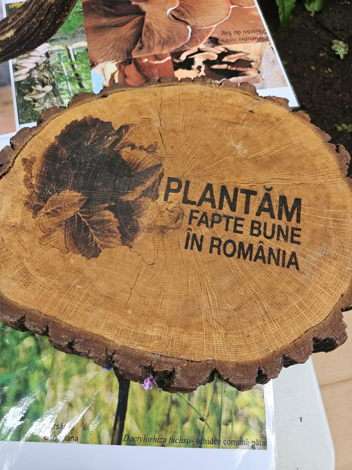 O MISIUNE VERDE!🌱