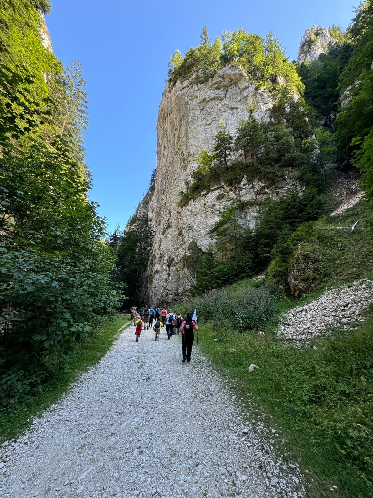 PE URMELE URȘILOR – COMOARA CARPAȚILOR